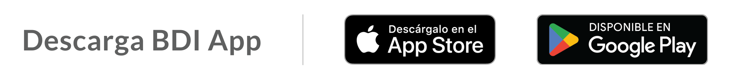 Descarga BDI App